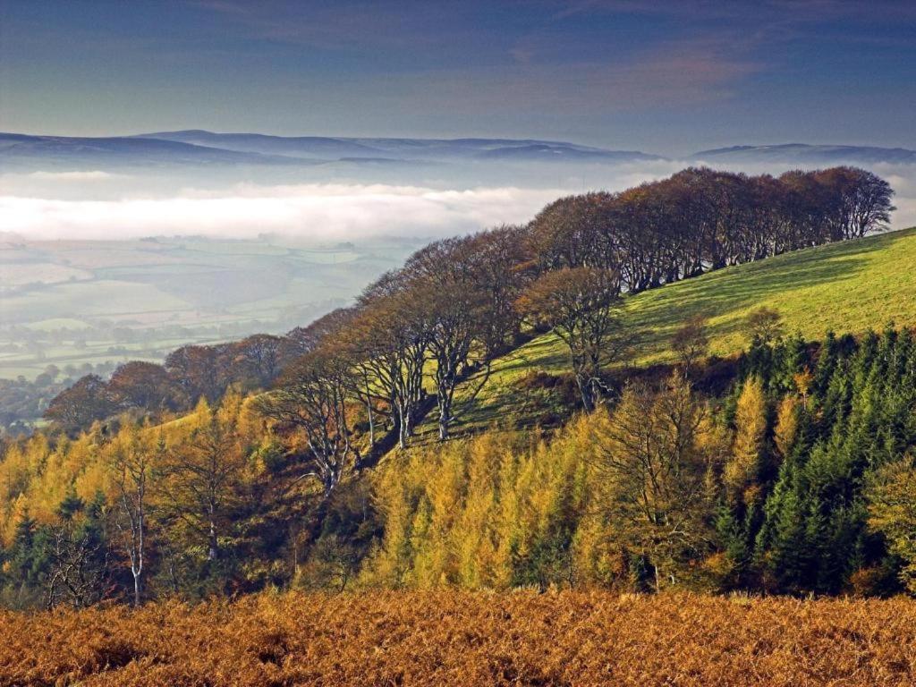 Notley Arms Inn Exmoor National Park Elworthy Exteriér fotografie