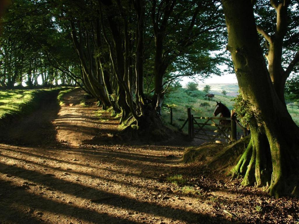 Notley Arms Inn Exmoor National Park Elworthy Exteriér fotografie