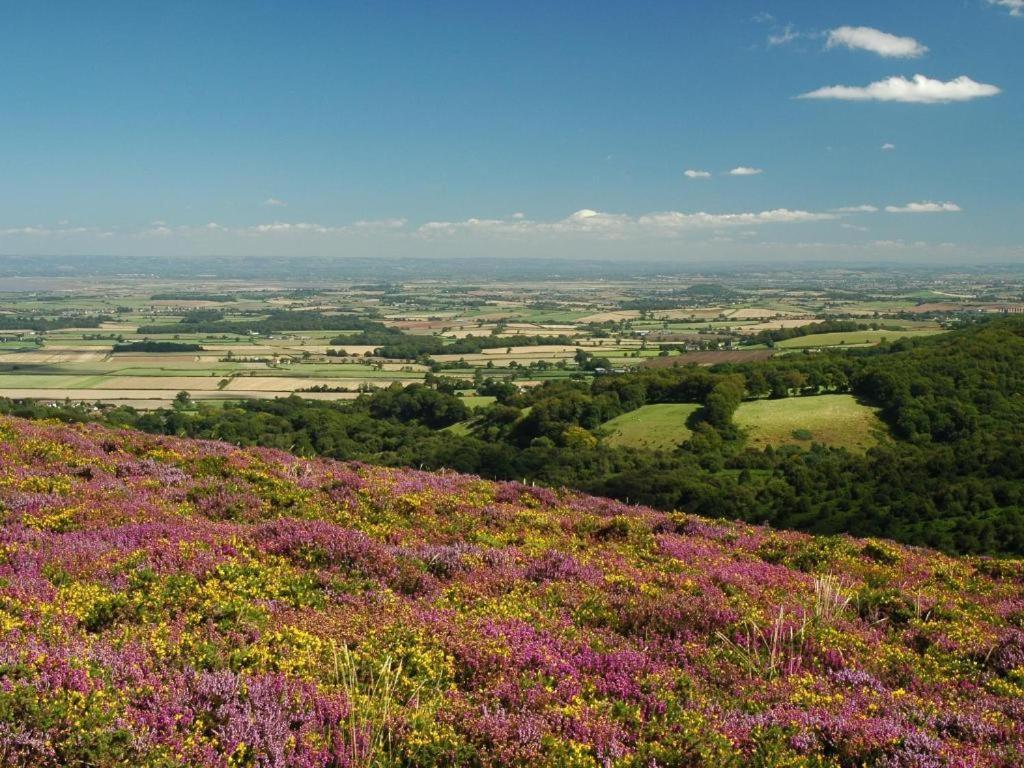 Notley Arms Inn Exmoor National Park Elworthy Exteriér fotografie